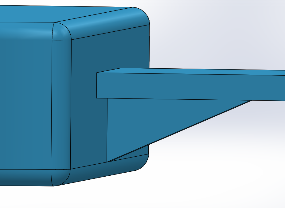 Image of a rib