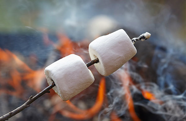Roasting Marshmallow